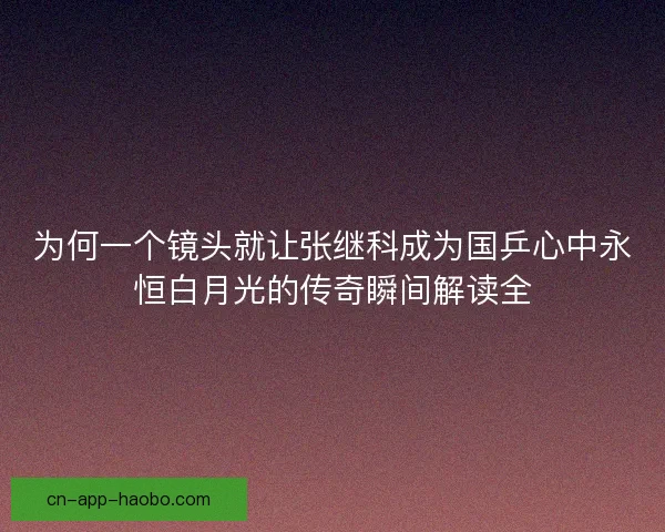 为何一个镜头就让张继科成为国乒心中永恒白月光的传奇瞬间解读全
