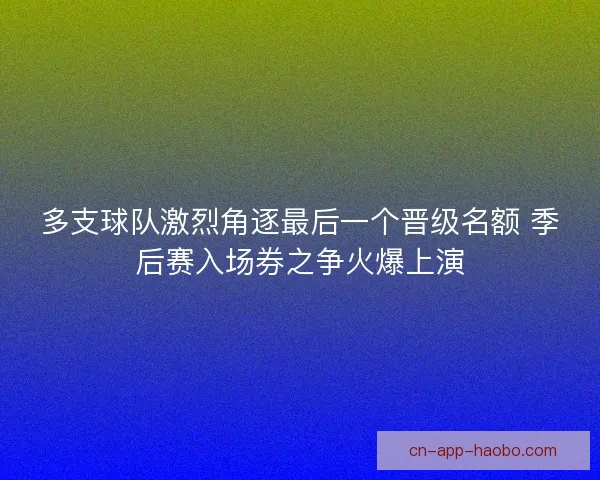 多支球队激烈角逐最后一个晋级名额 季后赛入场券之争火爆上演